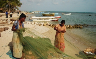 FAO-led Bay of Bengal fisheries and environment management project re-energized with US$ 15 million from The Global Environment Facility  